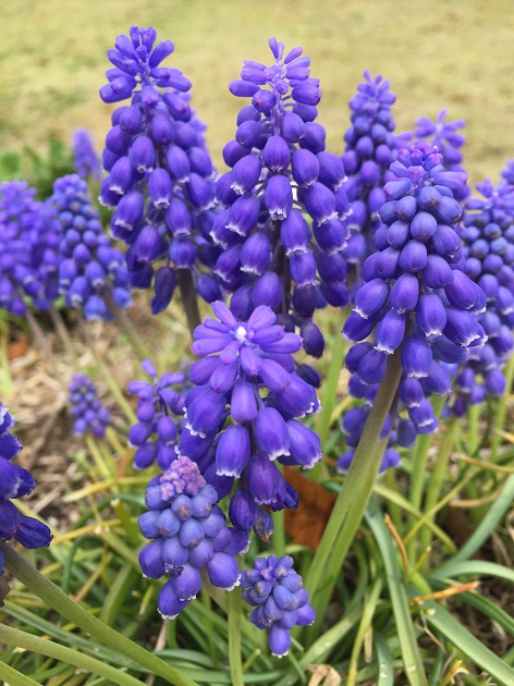 05