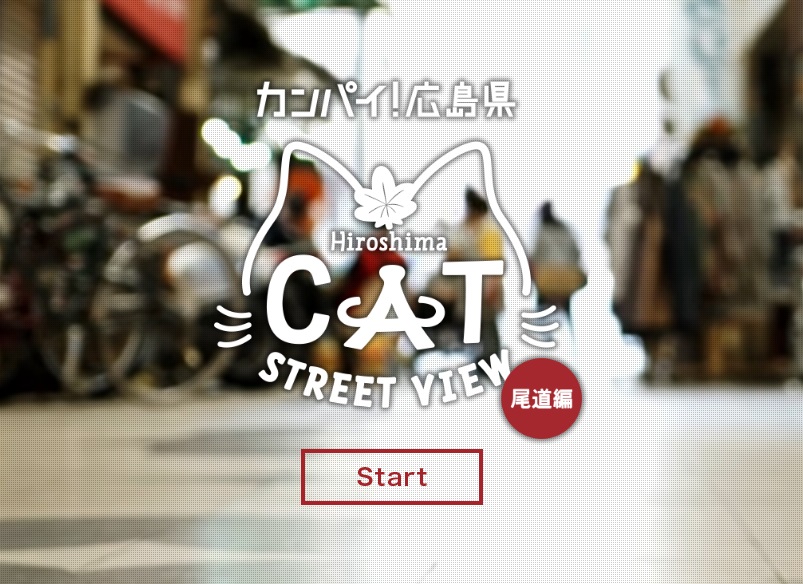 CATSTREETVIEW