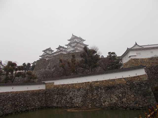 DSCN006801