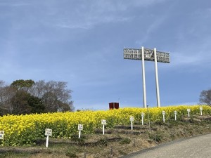 IMG_0892