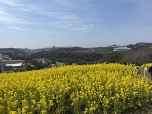 IMG_0893