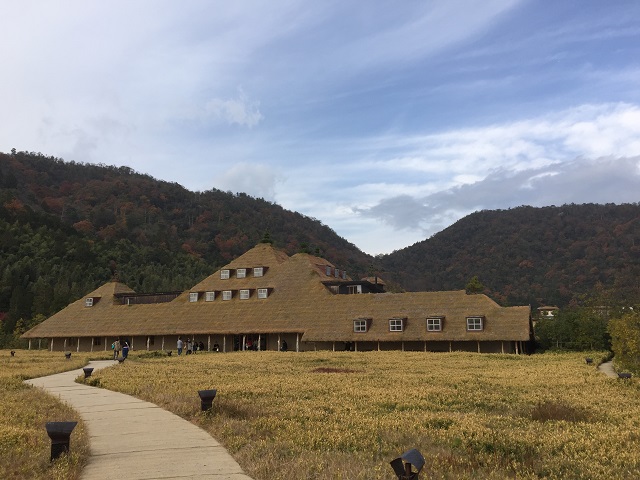 全景